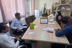 نشست تخصصی تدوین برنامه مداخلات ارتقای سلامت در شهرستان زرین دشت برگزار شد